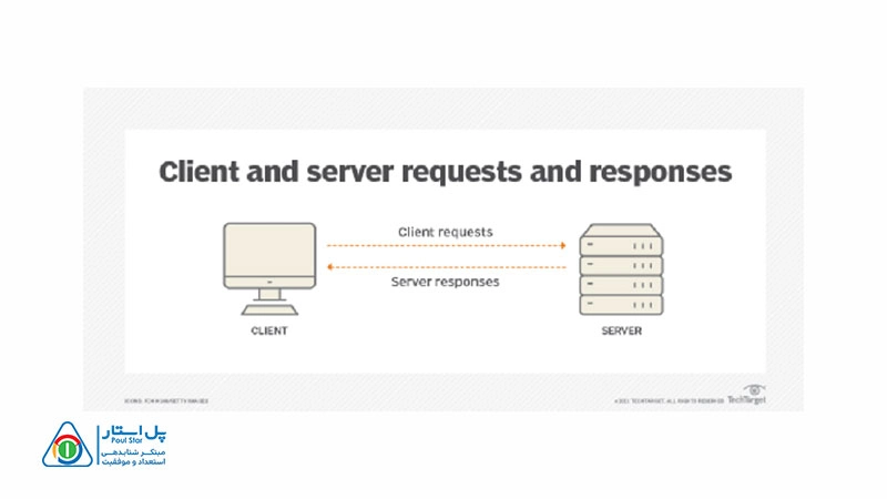 کلاینت در شبکه چیست؟
